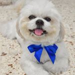 Profile Picture of Diamond Hiraldo Alvarez (@diamondhiraldo) on Instagram