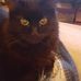 Profile Picture of Cathy O'Reilly (@cathy.oreilly.581) on Facebook
