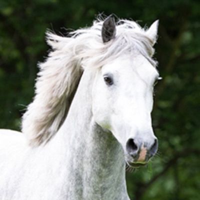 💖ALICE💖 - Tiktok Profile Picture of 💖ALICE💖 (@alice_renberg) on Tiktok