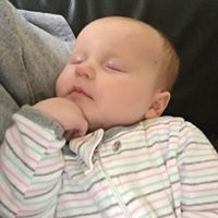 Profile Picture of Daniel Roelkey (@danielroelkey) on Pinterest