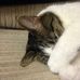 Profile Picture of Glen Swartz (@glen.swartz.1) on Facebook