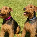 Profile Picture of Ralph Haskell (@ralph.haskell.1) on Facebook