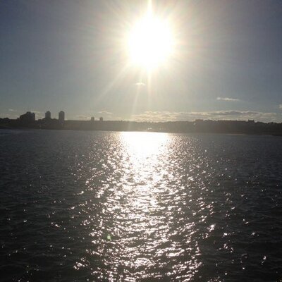 Profile Picture of Mark Lynn (@res8inc) on Twitter