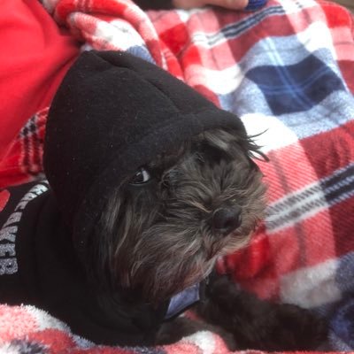 Profile Picture of Kyle D McKinstry (@kyleteach) on Twitter