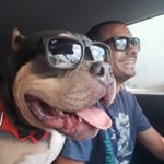 Profile Picture of Alex Nicolau (@anicolau2014.ac) on Instagram