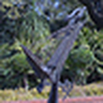 Matthew Dalton - Flickr Profile Picture of Matthew Dalton (@mattador starfish) on Flickr