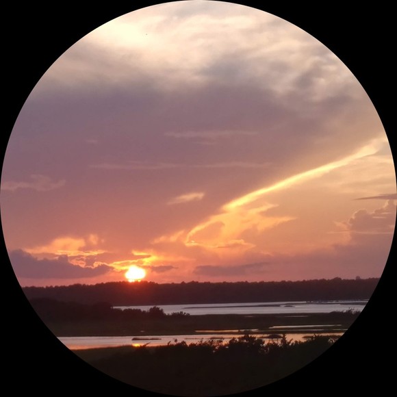 Profile Picture of Renee Triplett (@flipflop6786) on Poshmark