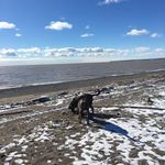 Profile Picture of Scott Paton (@payts16) on Instagram