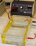 Profile Picture of Gel electrophoresison Wikipedia