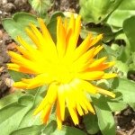 Profile Picture of abby.moses.xox (@abby.moses.xox) on Instagram