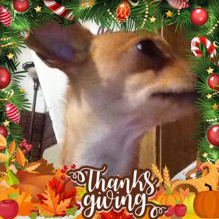 Profile Picture of Rose Caudill (@rose.caudill.545) on Facebook