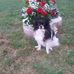 Profile Picture of Shari Singleton (@Shari-Singleton) on Facebook