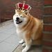 Profile Picture of Richard Tang (@richardt4373) on Pinterest