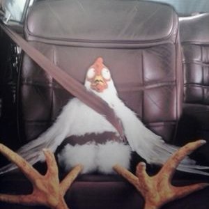 Profile Picture of Eric Counts (@EricCounts3) on Twitter