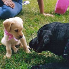 Profile Picture of Shelly Benninghoff (@shellybenninghoff) on Tiktok