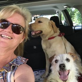 Profile Picture of Lisa Mitchell (@natesmum1) on Pinterest