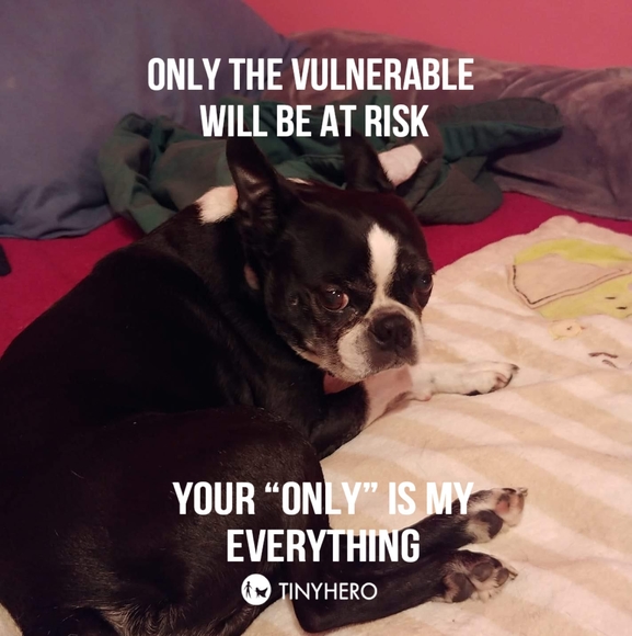 Profile Picture of Nora Skierczynski (@bambi81652) on Poshmark