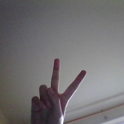 Profile Picture of Tess Woods (@tesswoods2) on Twitter