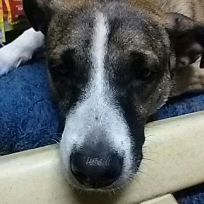 Profile Picture of Beverly Slaughter ♡ (@BevsGin) on Twitter