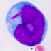 Profile Picture of Jonathan Boyd (@DrJDBoyd) on Twitter