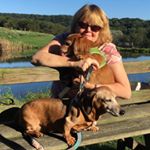 Profile Picture of Janet Garland Payne (@janet_the_dachshund_momma) on Instagram