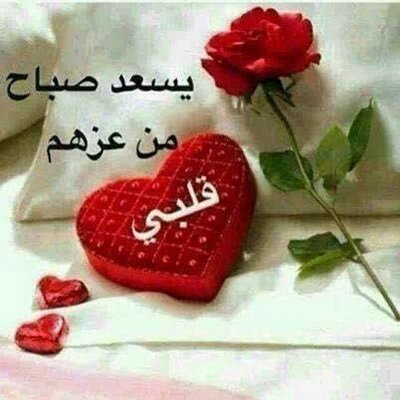Profile Picture of Said Kassim Mohamed (@qaasimi11) on Twitter