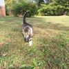 Profile Picture of Sandra Devlin (@@sandradevlin1) on Tiktok