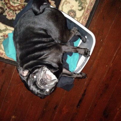 Profile Picture of Michael Rupert (@@Drifter29Rupert) on Twitter