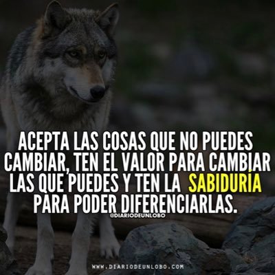 Profile Picture of Raymundo Osuna (@ray_osuna) on Twitter