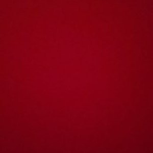 Profile Picture of Paul Rabbit (@PaulRabbit_BR) on Twitter