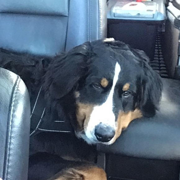 Profile Picture of Kara Mock (@karamock) on Poshmark