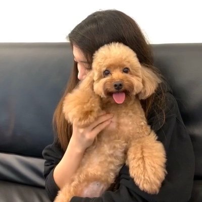 Profile Picture of Emily Chou (@emilychou98) on Twitter