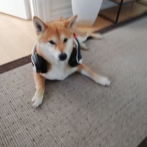 Alexander Behrens - Twitter Profile Picture of Alexander Behrens (@AlexanderBehr15) on Twitter