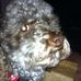 Profile Picture of Joel Byrd (Joel Byrd) (@beamer.byrd) on Facebook