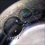 Profile Picture of Edwin Shaw (@edwinshawn) on Instagram