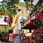 Profile Picture of bashar___saleh (@bashar___saleh) on Instagram