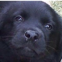 Profile Picture of Jon Winters (@jon-winters-10) on Quora