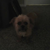 Profile Picture of Allen Hicks (@allenhicks2026) on Youtube