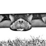 Profile Picture of Bryan Cardon (@bcardon) on Instagram