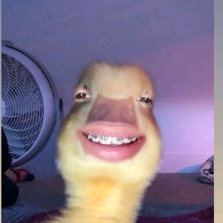 Profile Picture of JACQUELINE_TIZNADO (@jacqueline_tiznado) on Tiktok