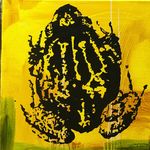 Profile Picture of Steve Baird Pobblebonk (@pobblebonk_riot) on Instagram