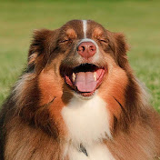 Profile Picture of Morgan Baumgartner (@morganbaumgartner3992) on Youtube