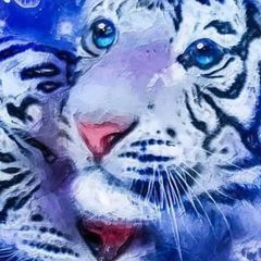 Profile Picture of Andrew Haylock (@andrew.haylock) on Tiktok