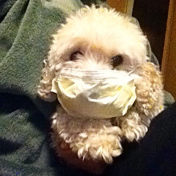 Profile Picture of Erika Hemminger (@14erihem) on Poshmark