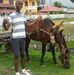 Profile Picture of Alvin Mcfarlane (@alvin.mcfarlane.12) on Facebook