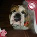 Profile Picture of Tyler Gantt (@tyler.gantt.161) on Facebook