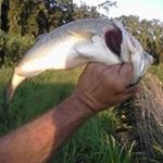 Profile Picture of Jimmy Mcmahan (@mcmahanjimmy) on Instagram