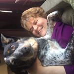 Profile Picture of Lisa Zerr Himes (@zerrhimes) on Instagram