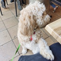 Profile Picture of Simon Bai (@simon-bai-13) on Quora