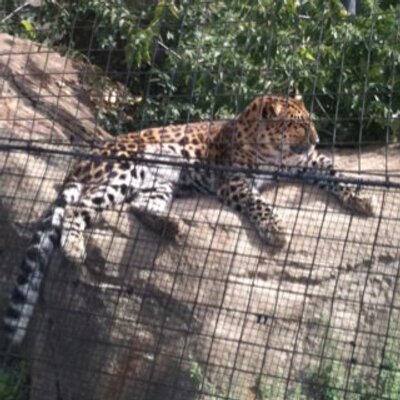 Profile Picture of Aaron Whitworth (@whit1040) on Twitter